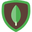 mongodb